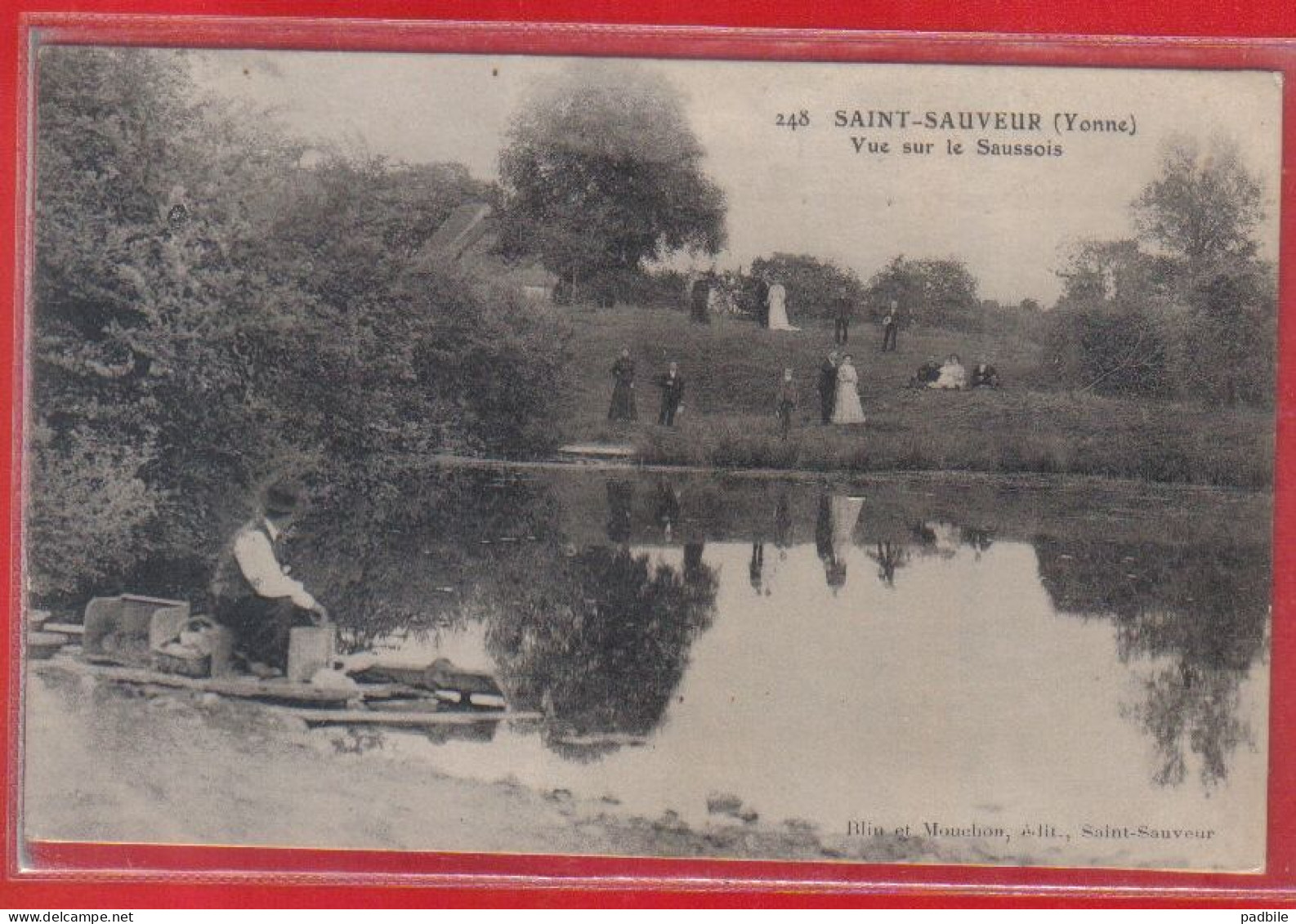 Carte Postale 89. Saint-Sauveur  Vue Sur Le Saussois Très Beau Plan - Saint Sauveur En Puisaye