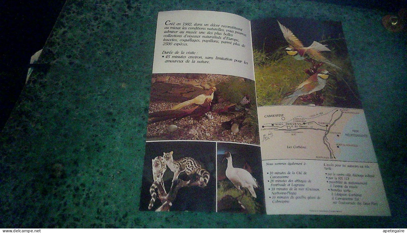 Douzens Dépliant Touristique  Le Musée Des Oiseaux - Toeristische Brochures