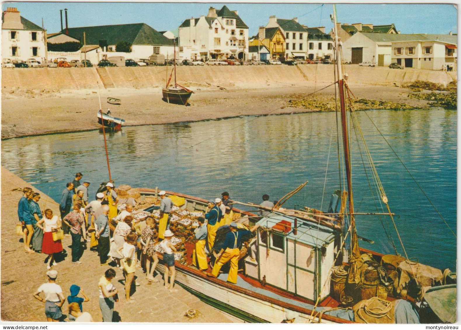 Morbihan : QUIOBERON  : Vue - Quiberon