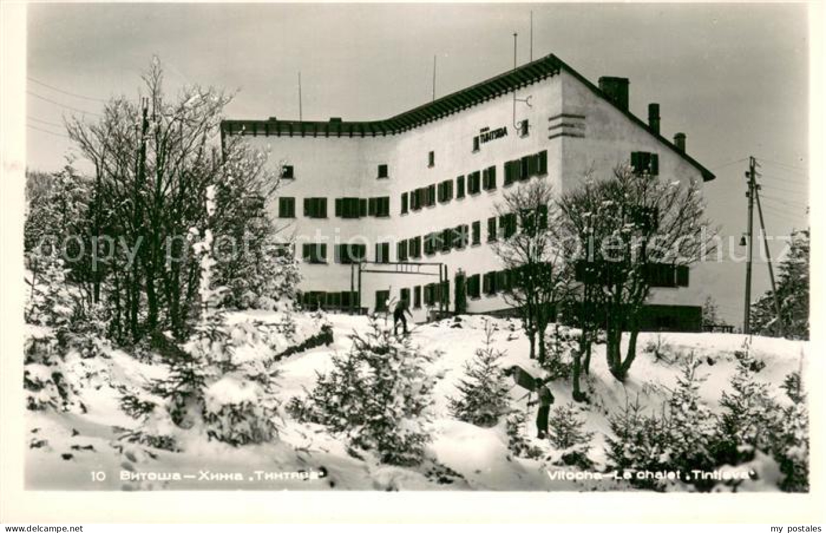 73722715 Vitocha Le Chalet Tintjava Winter  Vitocha - Bulgaria