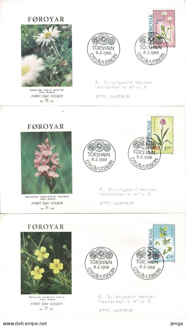 Faroe Islands;  1988 Faroe Flowers;  Set Of 4 In Single And Block Of 4 On FDC )N-covers). - Féroé (Iles)