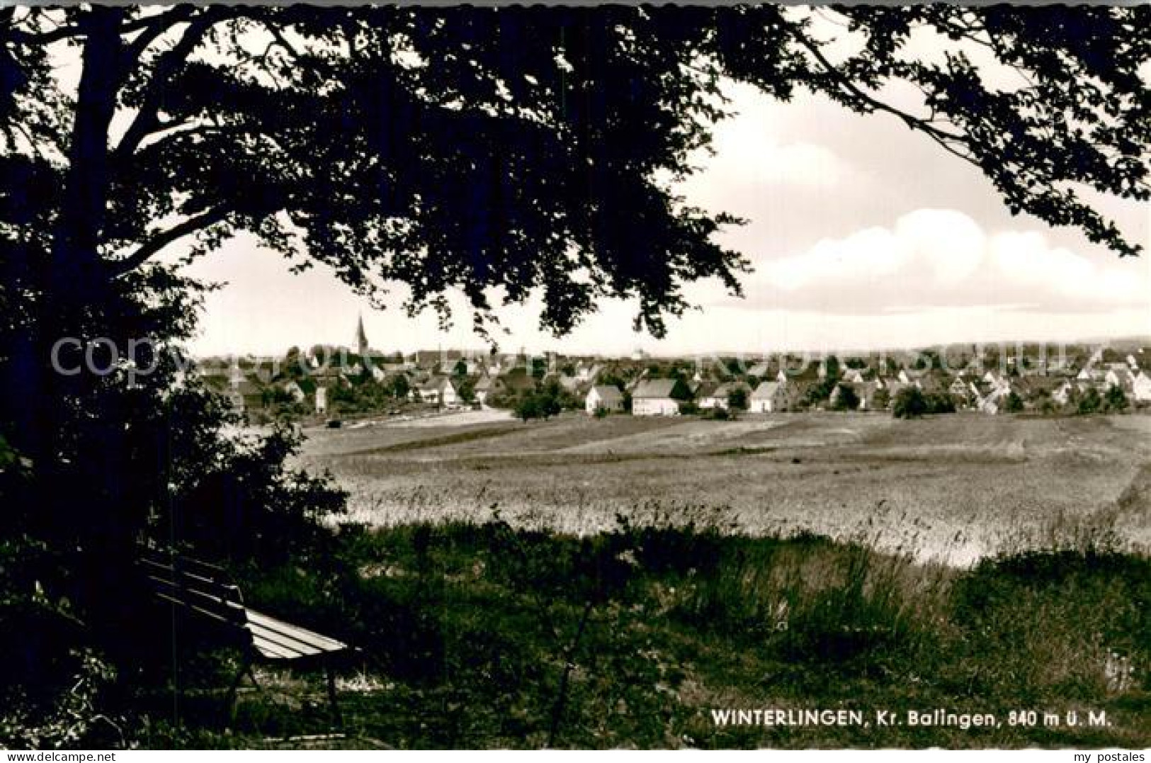 73722698 Winterlingen Gesamtansicht Winterlingen - Sonstige & Ohne Zuordnung