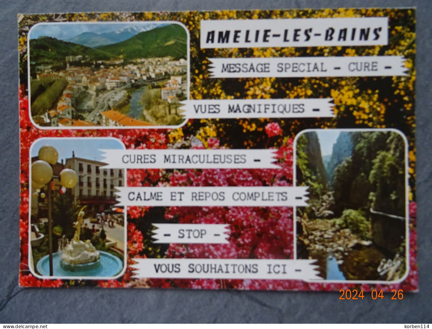 VUE GENERALE - Amélie-les-Bains-Palalda