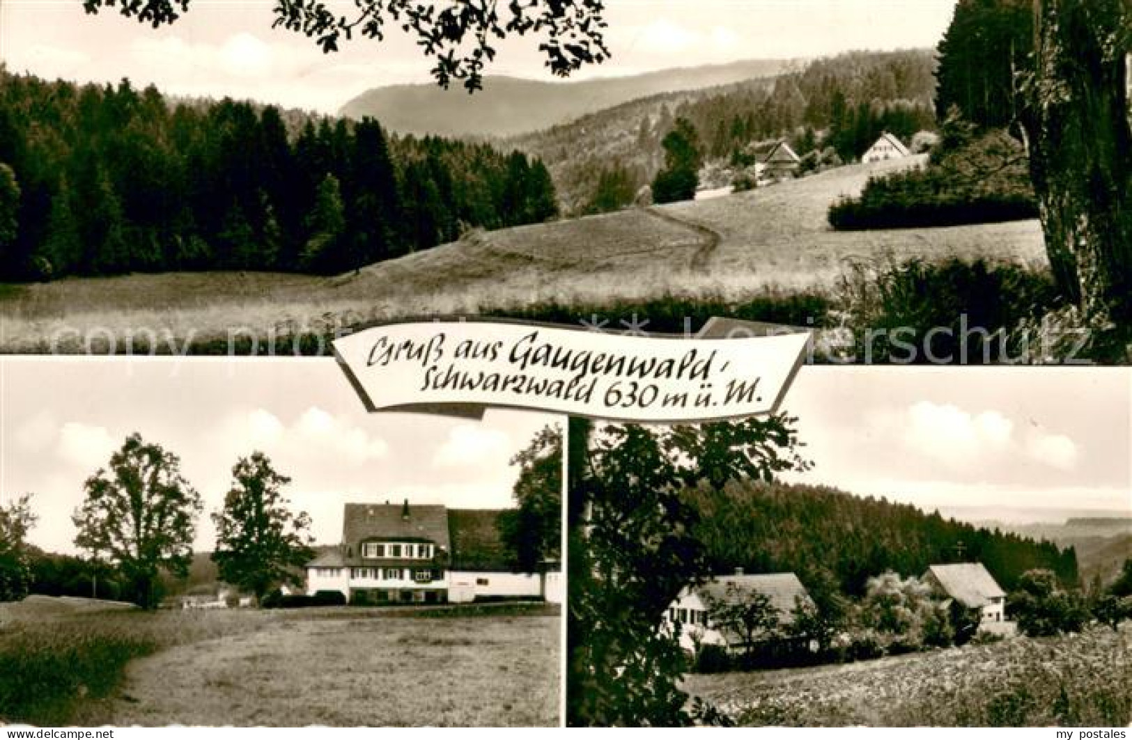 73722667 Gaugenwald Pension Tannenhof Landschaftspanorama Schwarzwald Gaugenwald - Sonstige & Ohne Zuordnung