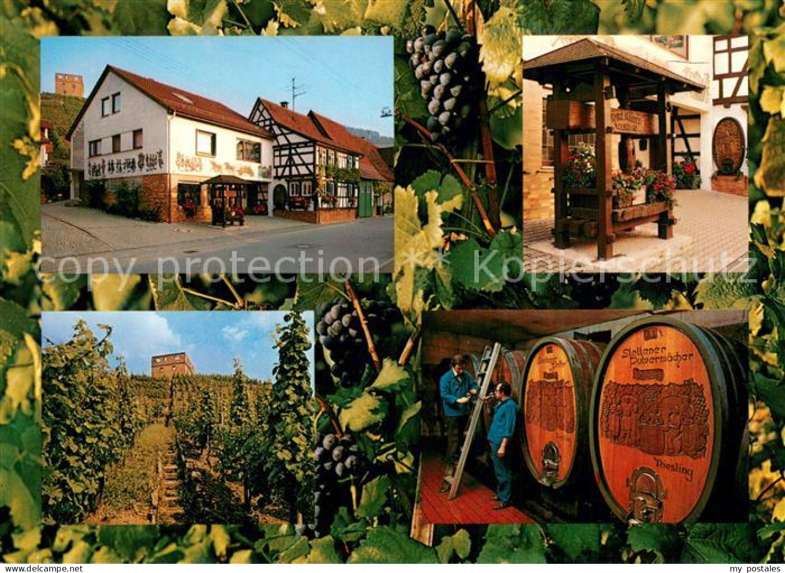 73722586 Kernen Remstal Karl Haidle Weinbau Weinkellerei Kernen Remstal - Other & Unclassified