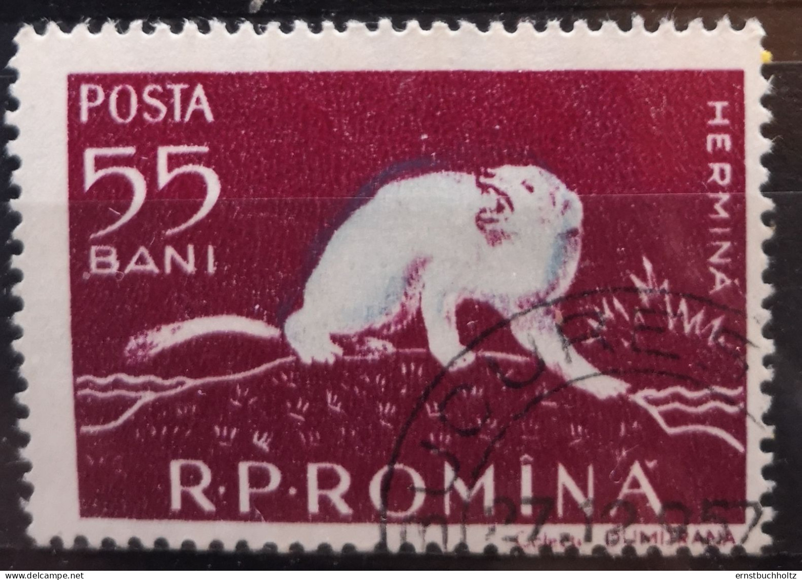 Rumänien 1957 Wildtiere Mi 1686/93° Gest. Nur Der Eine Säuger 1v Im Angebot - Gebraucht
