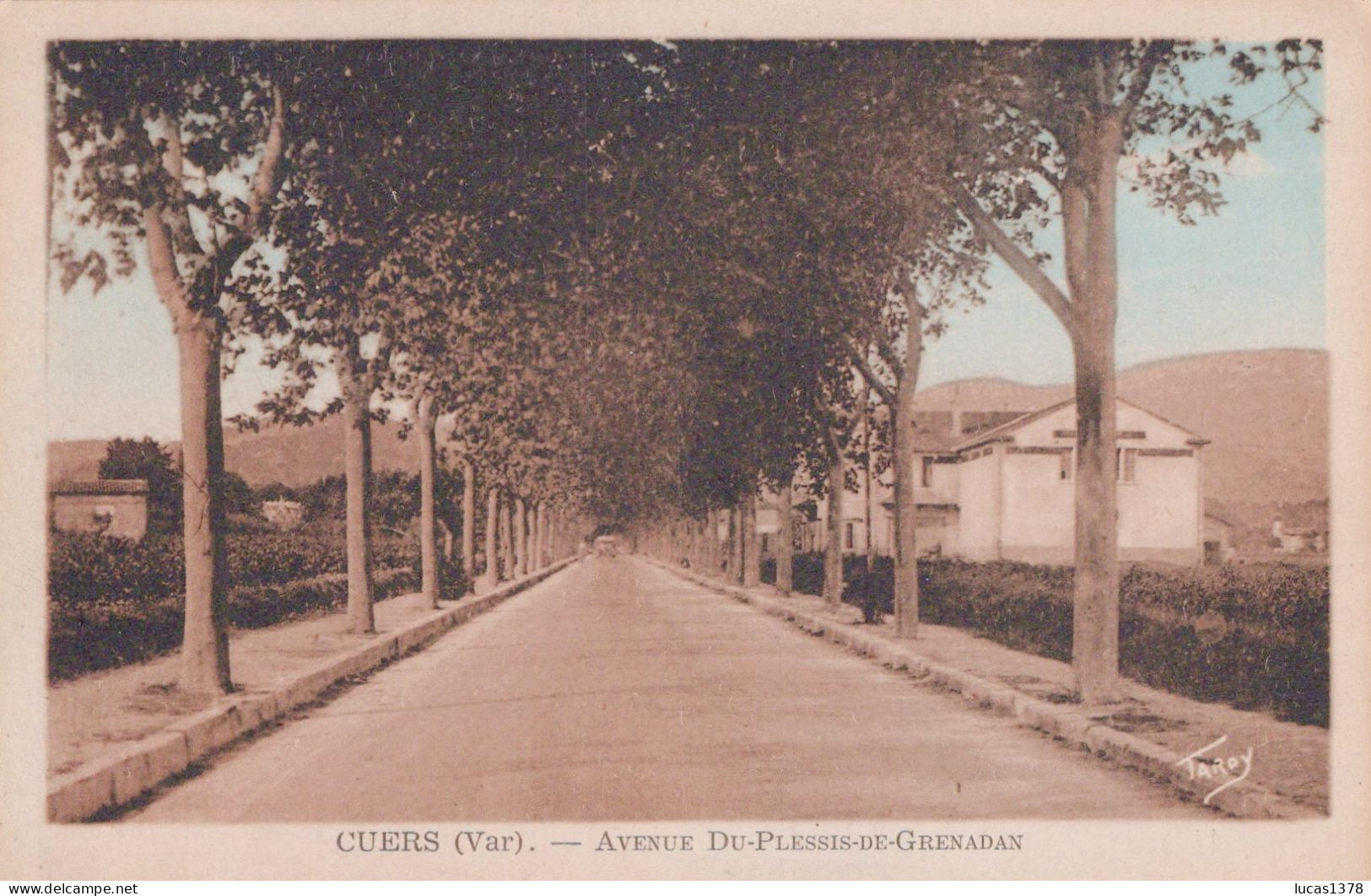 83 / CUERS / AVENUE DU PLESSIS DE GRENADAN - Cuers
