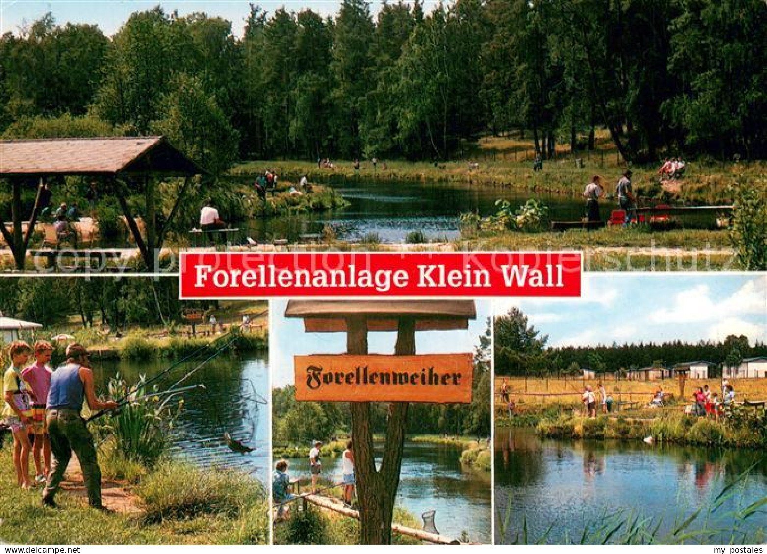 73722496 Gruenheide Mark Forellenanalge Klein Wall Weiher Gruenheide Mark - Grünheide