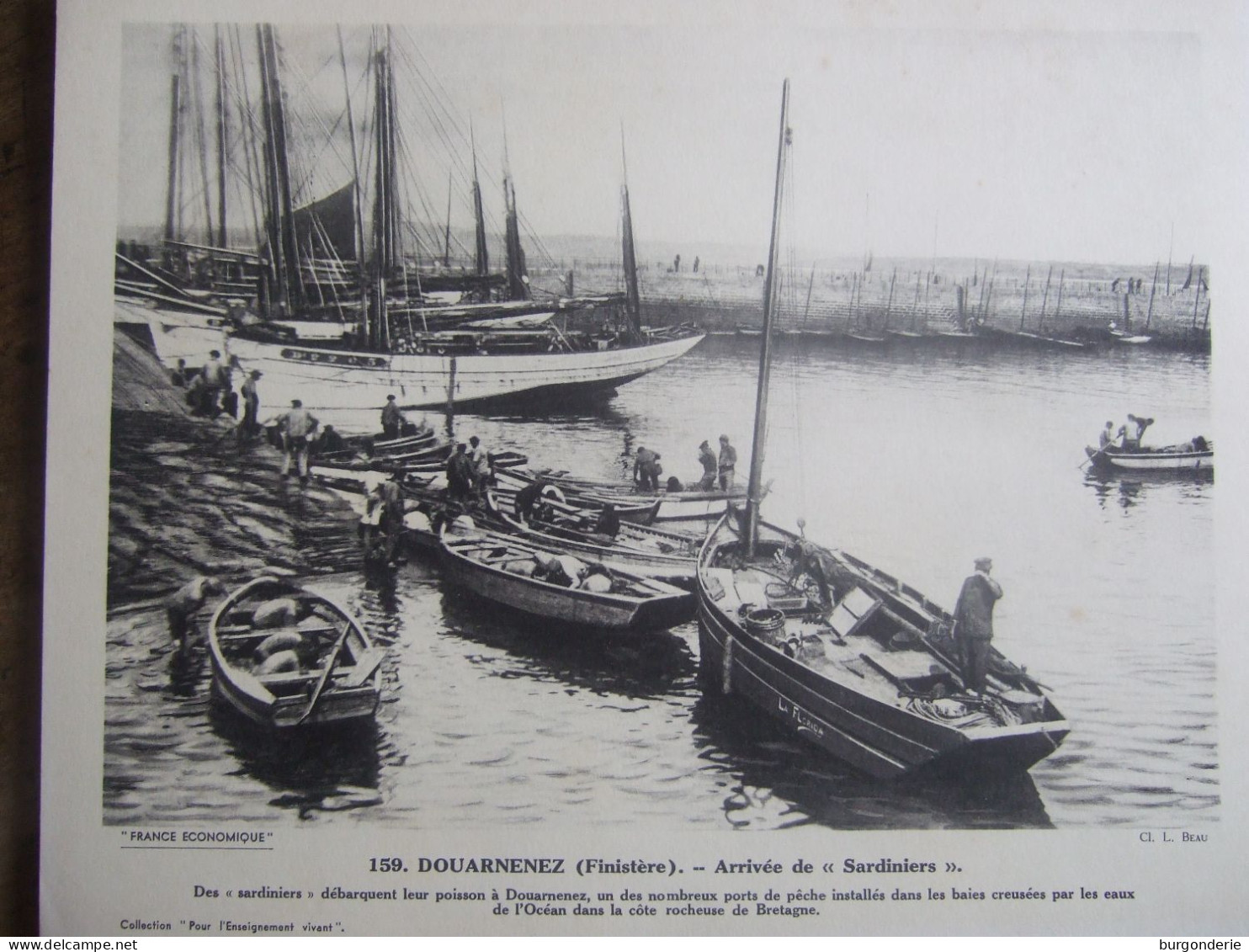 DOUARNENEZ (FINISTERE)  / ARRIVEE DE SARDINIERS - Géographie