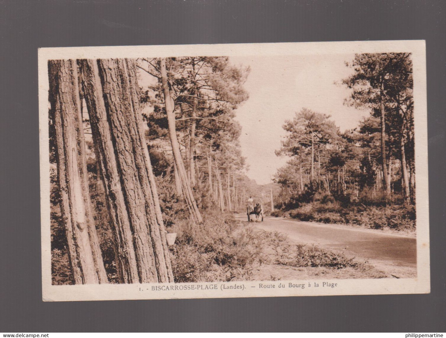 40 - Biscarosse-Plage : Route Du Bourg à La Plage (Attelage) - Biscarrosse