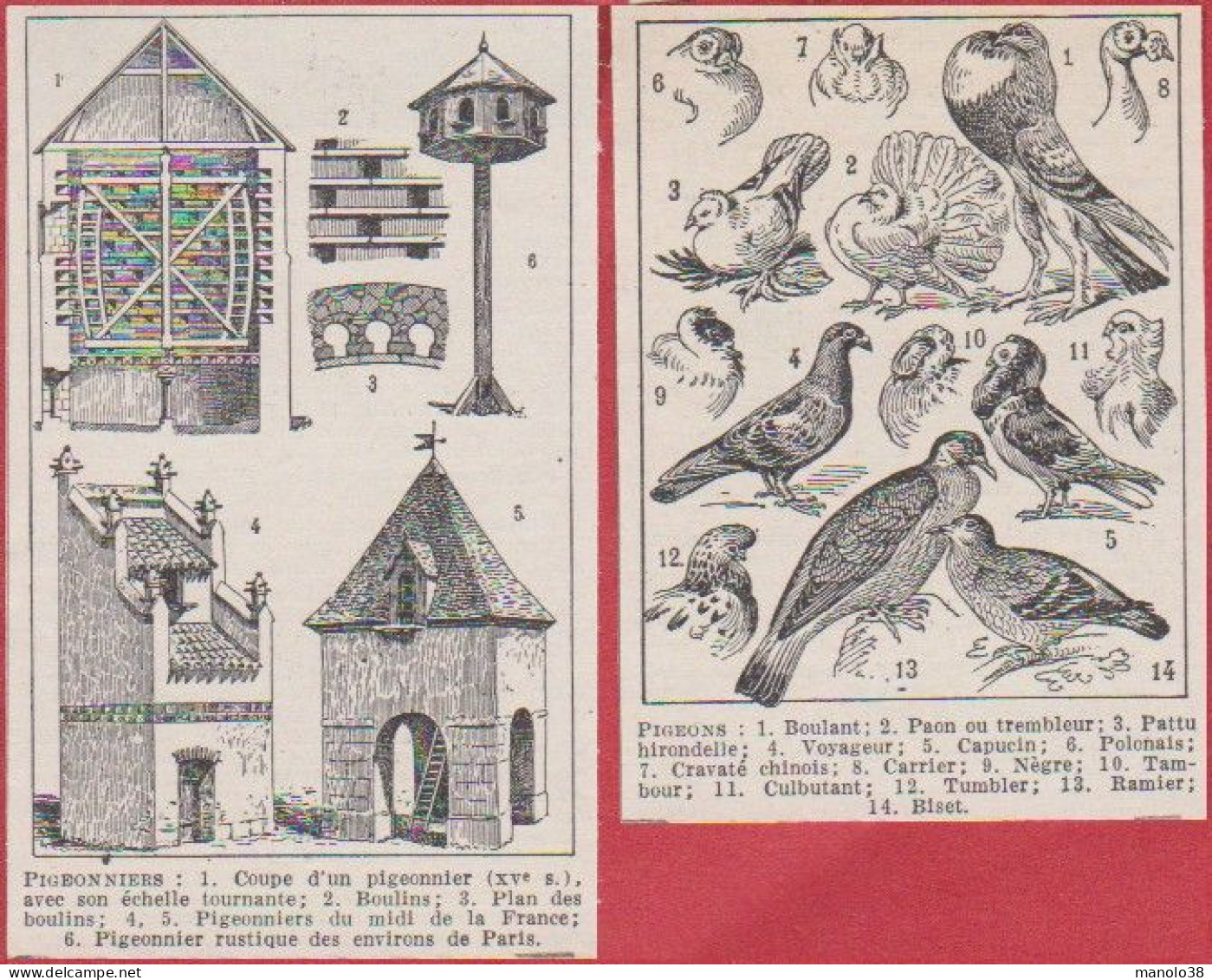 Pigeon. Pigeons. Pigeonnier. Pigeonniers. Larousse 1948. - Documentos Históricos