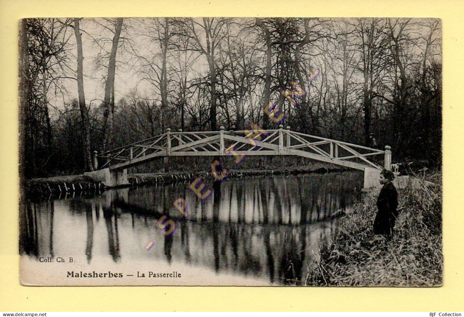 45. MALESEHBES - La Passerelle (animée) (voir Scan Recto/verso) - Malesherbes