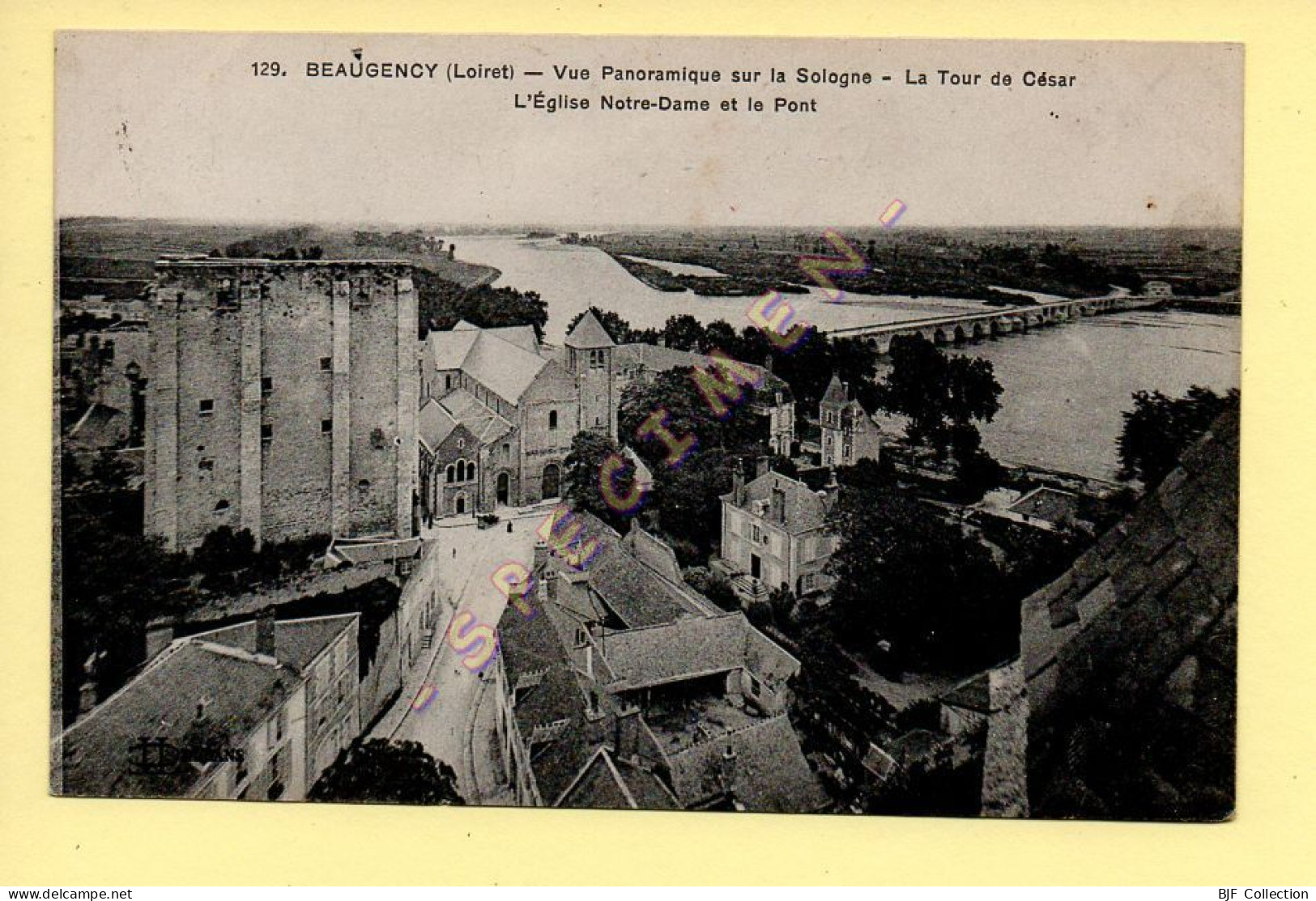 45. BEAUGENCY - Vue Panoramique Sur La Sologne / Tour De César L'Eglise Notre-Dame Et Le Pont - Beaugency
