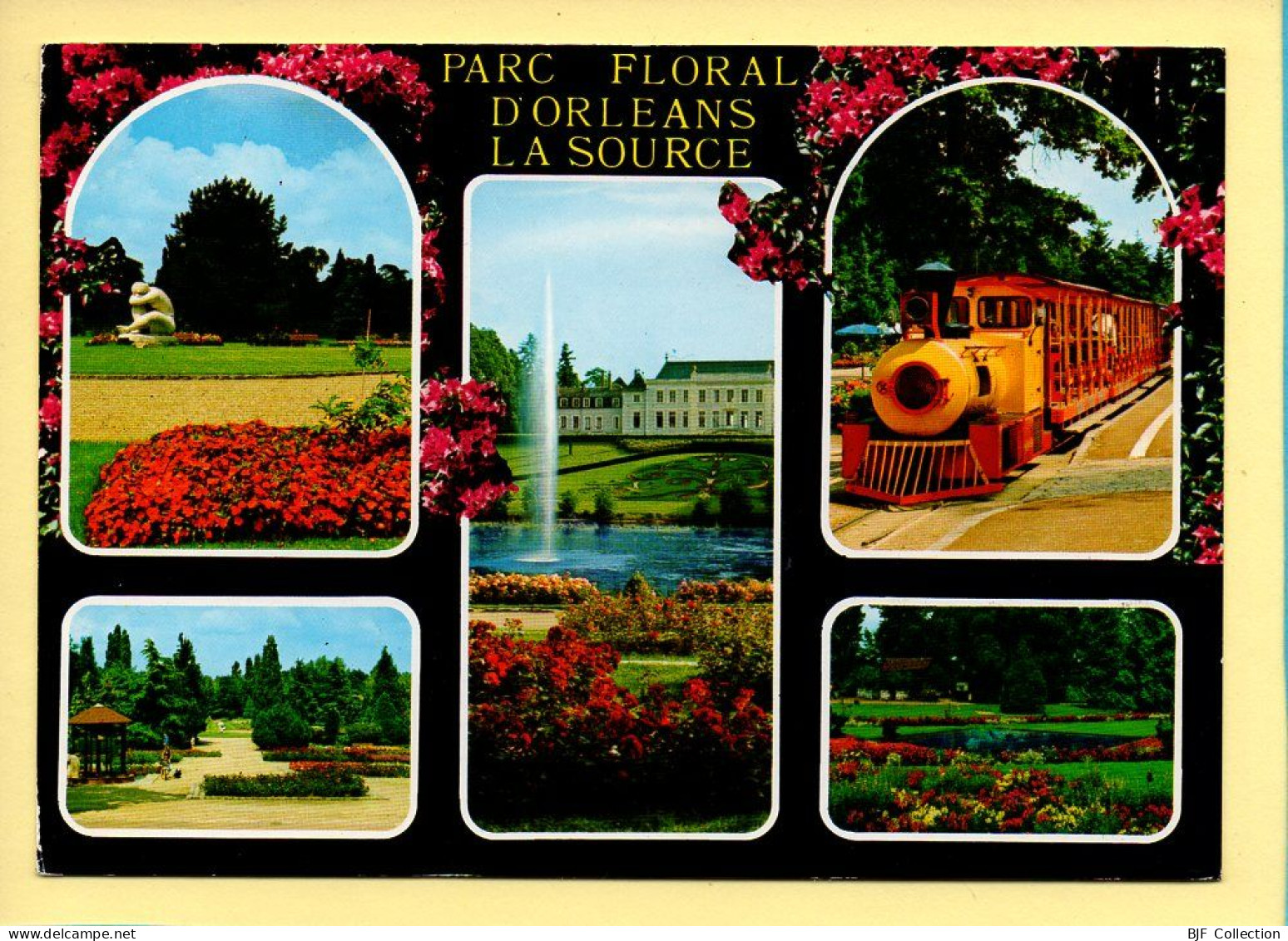 45. ORLEANS – Parc Floral De La Source / Multivues (voir Scan Recto/verso) - Orleans