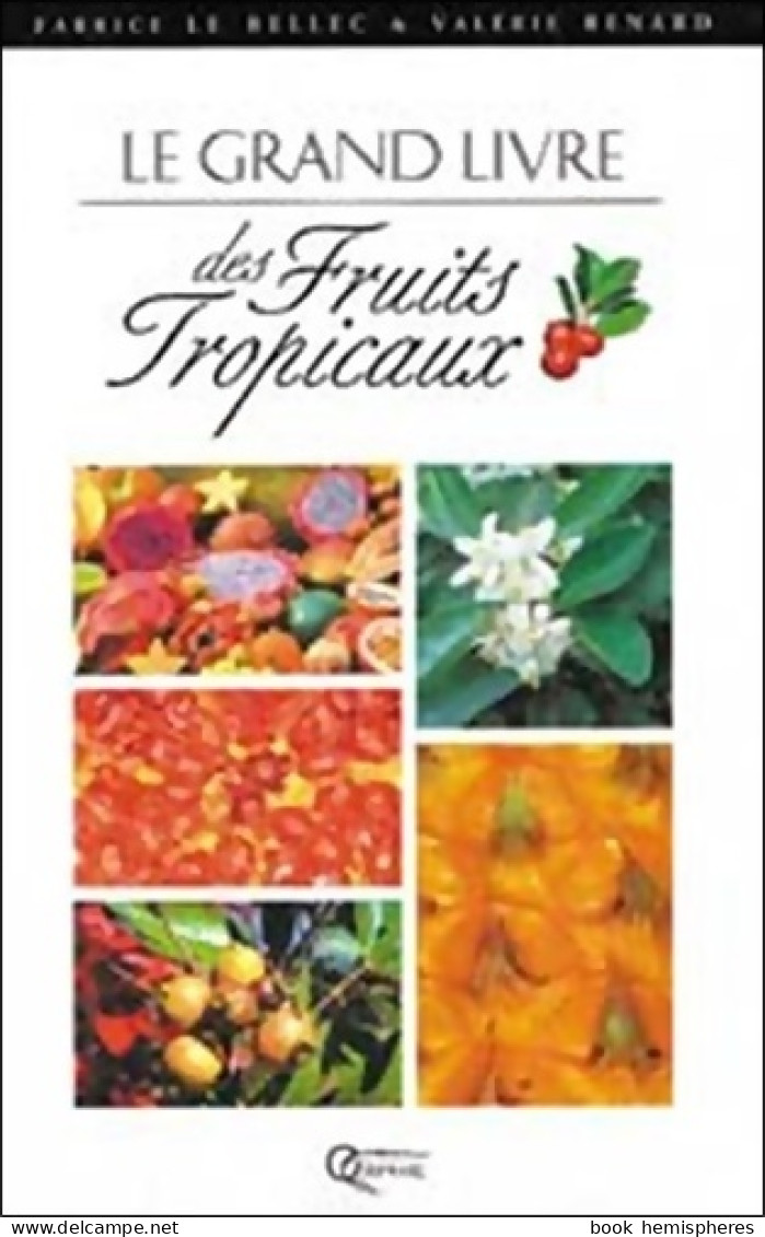 Le Grand Livre Des Fruits Tropicaux (1997) De Fabrice Renard - Natualeza