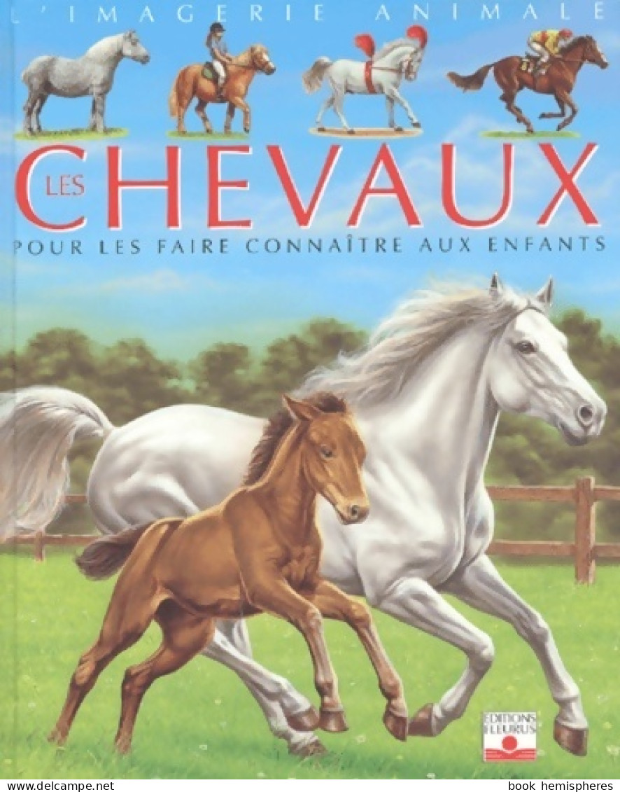 Les Chevaux. Pour Les Faire Connaître Aux Enfants (2003) De Emilie Beaumont - Animaux