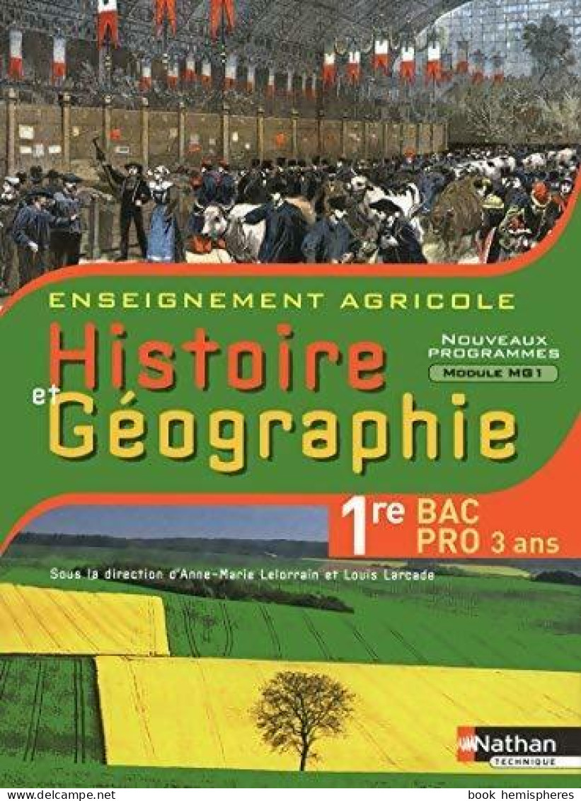 Histoire Et Géographie Première BAC Pro (2014) De Collectif - 12-18 Years Old
