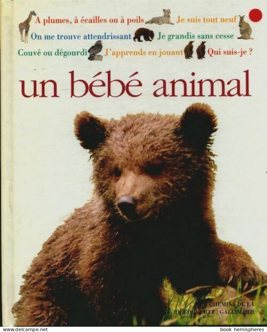 Qui Suis-je ? Un Bébé Animal (1994) De Christopher Maynard - Autres & Non Classés