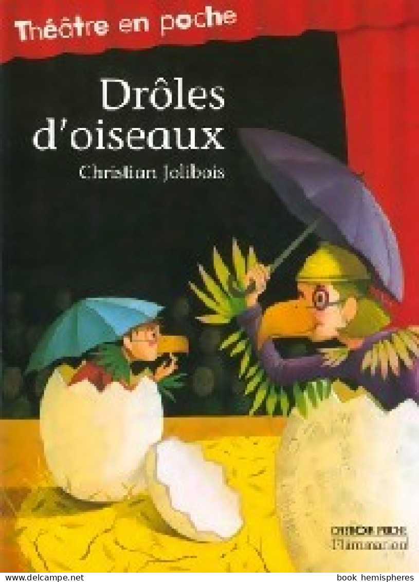 Drôles D'oiseaux (2001) De Christian Jolibois - Sonstige & Ohne Zuordnung