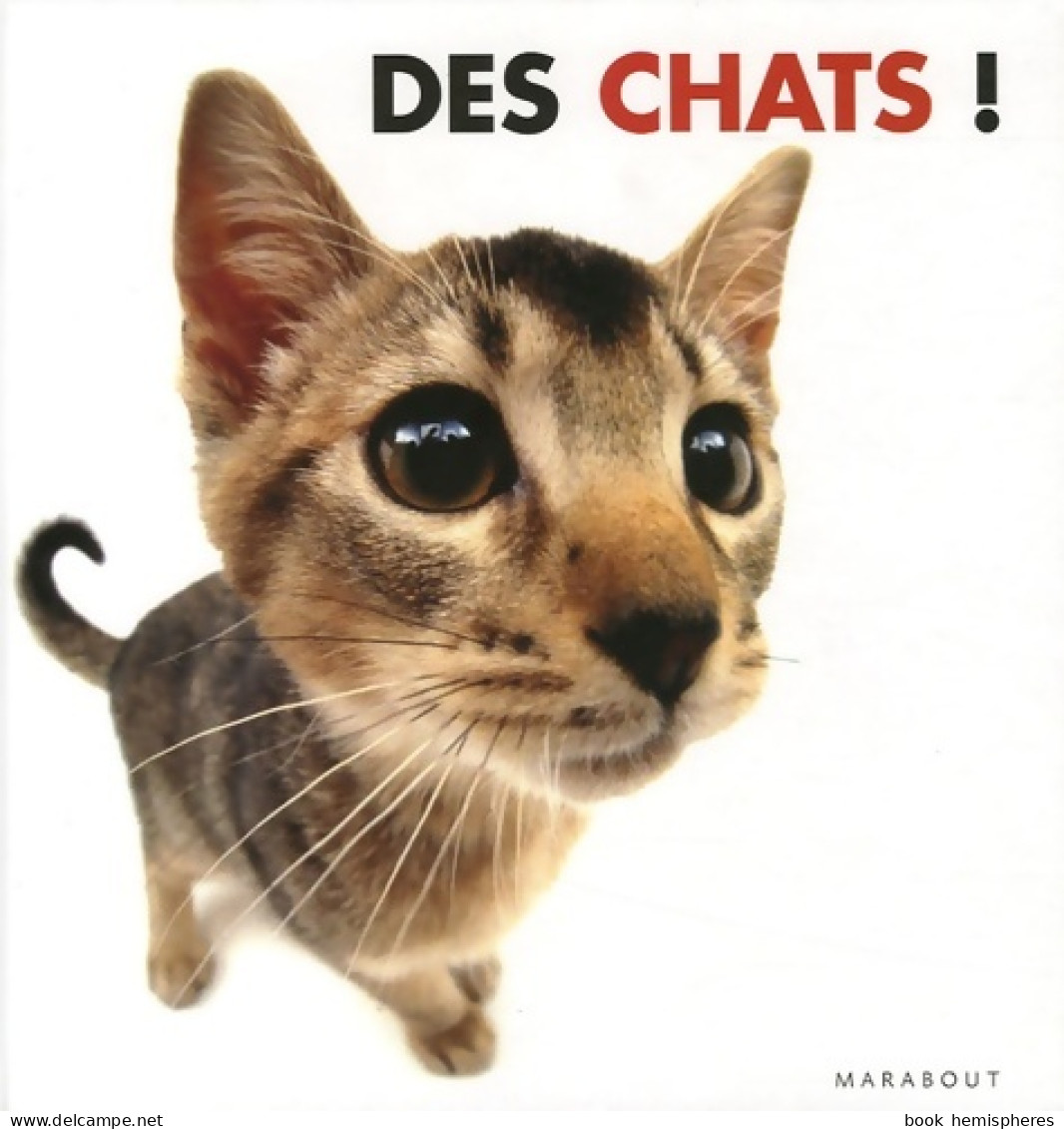 Des Chats ! (2005) De Rod Green - Animaux