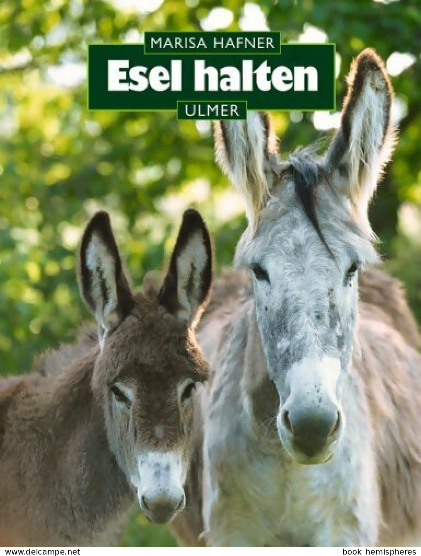 Esel Halten (2002) De Marisa Hafner - Dieren