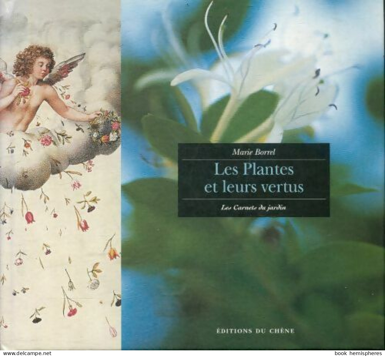 Les Plantes Et Leurs Vertus (2003) De Marie Borrel - Salute