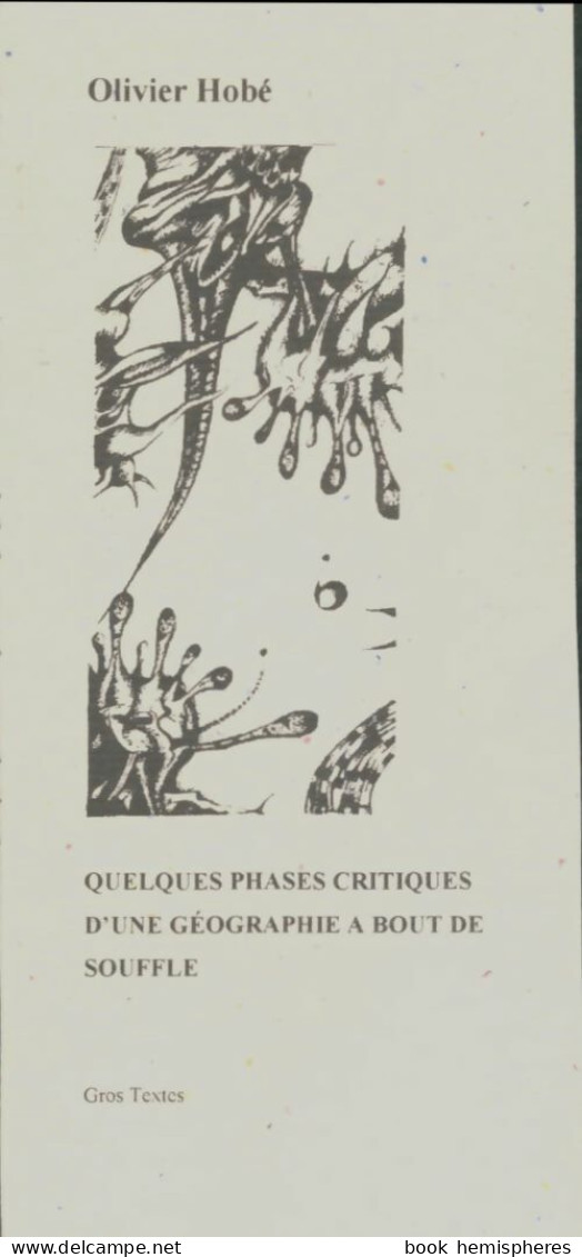 Quelques Phases Critiques D'une Géographie à Bout De Souffle (0) De Olivier Hobé - Autres & Non Classés