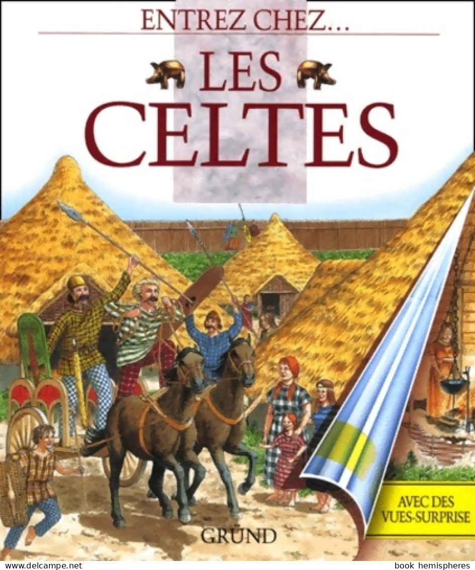 Entrez Chez Les Celtes (1995) De Hazel-mary Martell - Autres & Non Classés