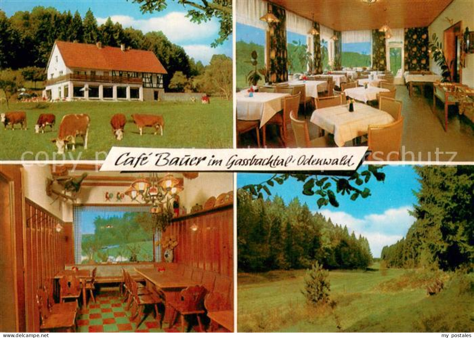 73722267 Hammelbach Cafe Bauer Odenwald Hammelbach - Sonstige & Ohne Zuordnung