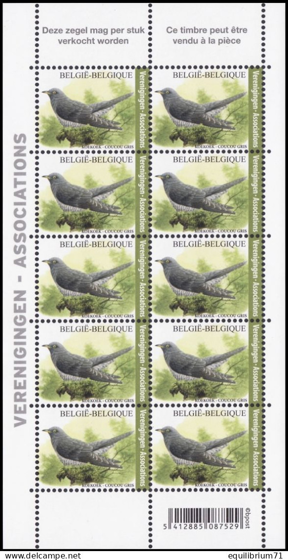 4991** - Coucou Gris / Grijze Koekoek / Grauer Kuckuck - BUZIN - ASSOCIATIONS / VERENIGINGEN - 1985-.. Pájaros (Buzin)