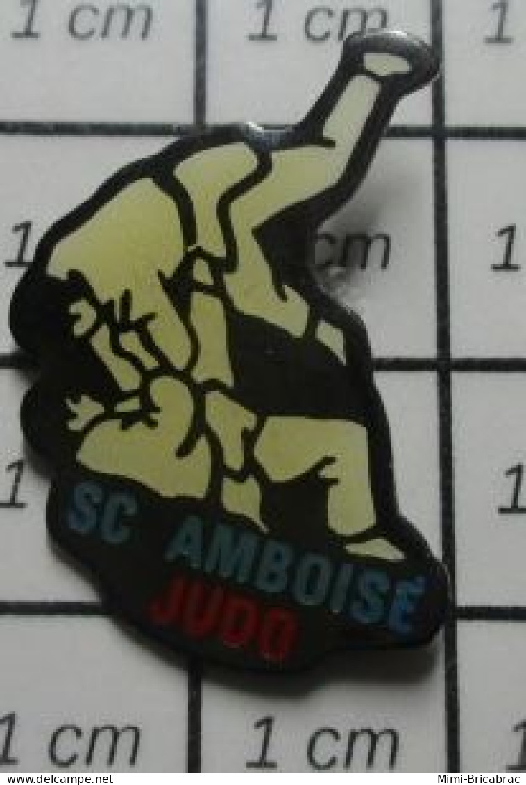 3417 Pin's Pins / Beau Et Rare / SPORTS / CLUB JUDO SC AMBOISE - Judo