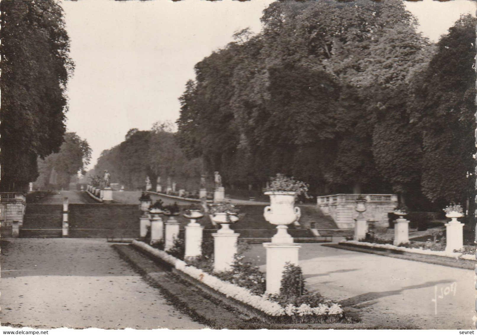 SAINT-CLOUD. -  Le Parc - L'Allée Des Marnes .CPSM Pas Courante - Saint Cloud