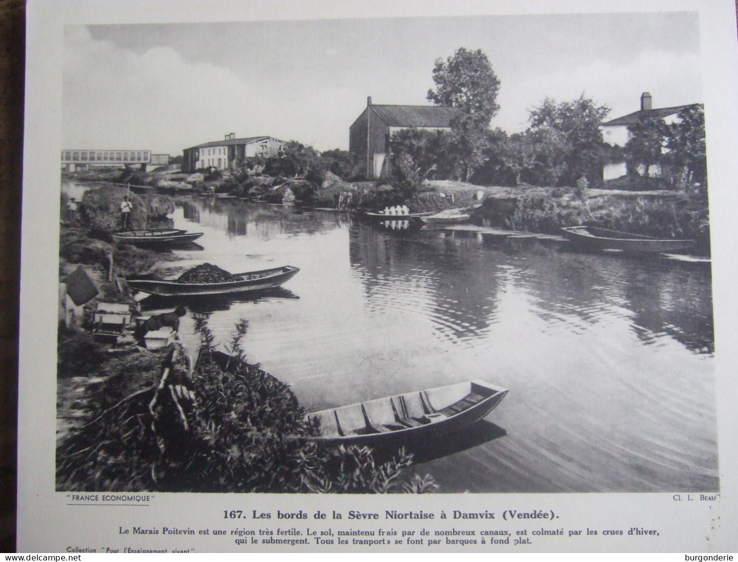 LES BORDS DE LA SEVRE NIORTAISE A DAMVIX ( VENDEE) - Geografia