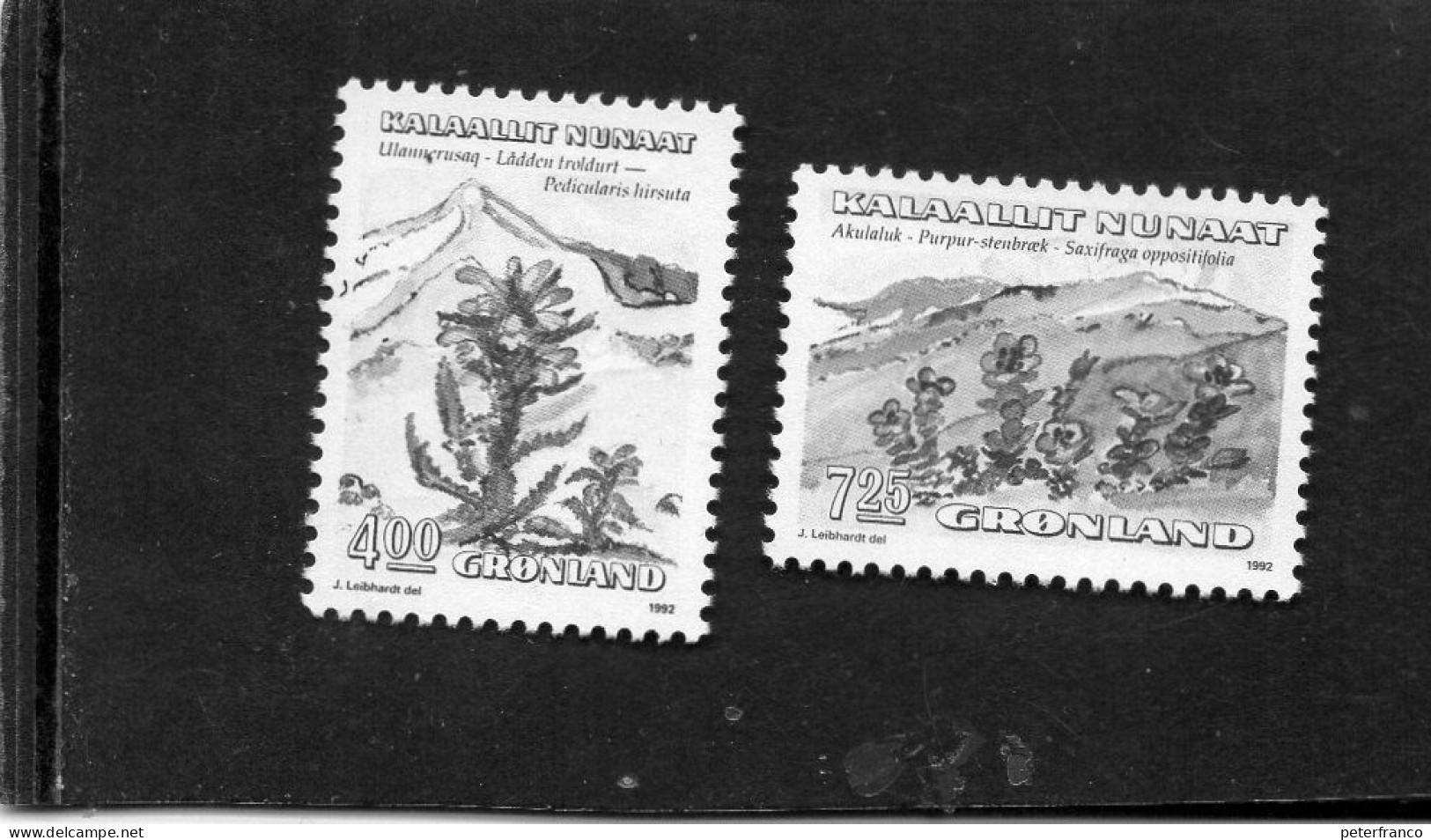 1992 Groenlandia -  Flora - Unused Stamps