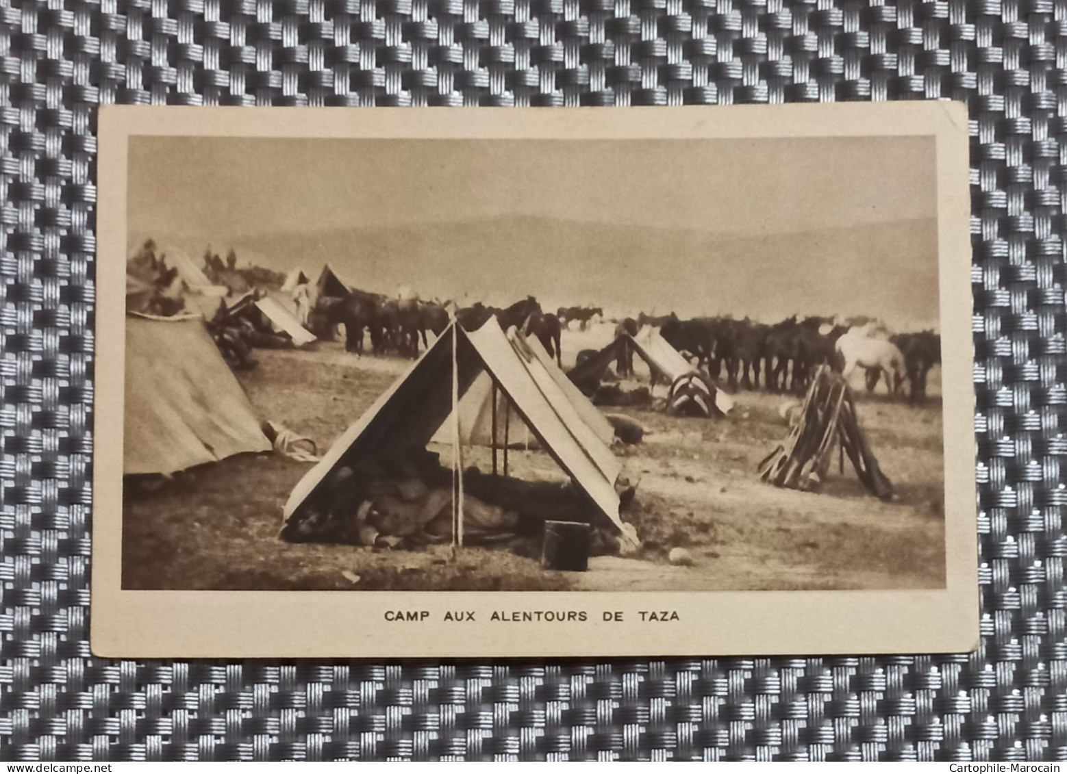 *A16*- Cp25 - TAZA : Camp Aux Alentours De Taza - Autres & Non Classés