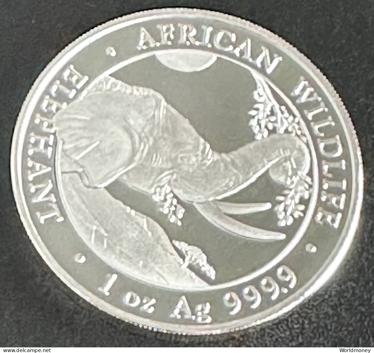 Somalia 100 Shillings 2023 (silver) Elephant - Somalia