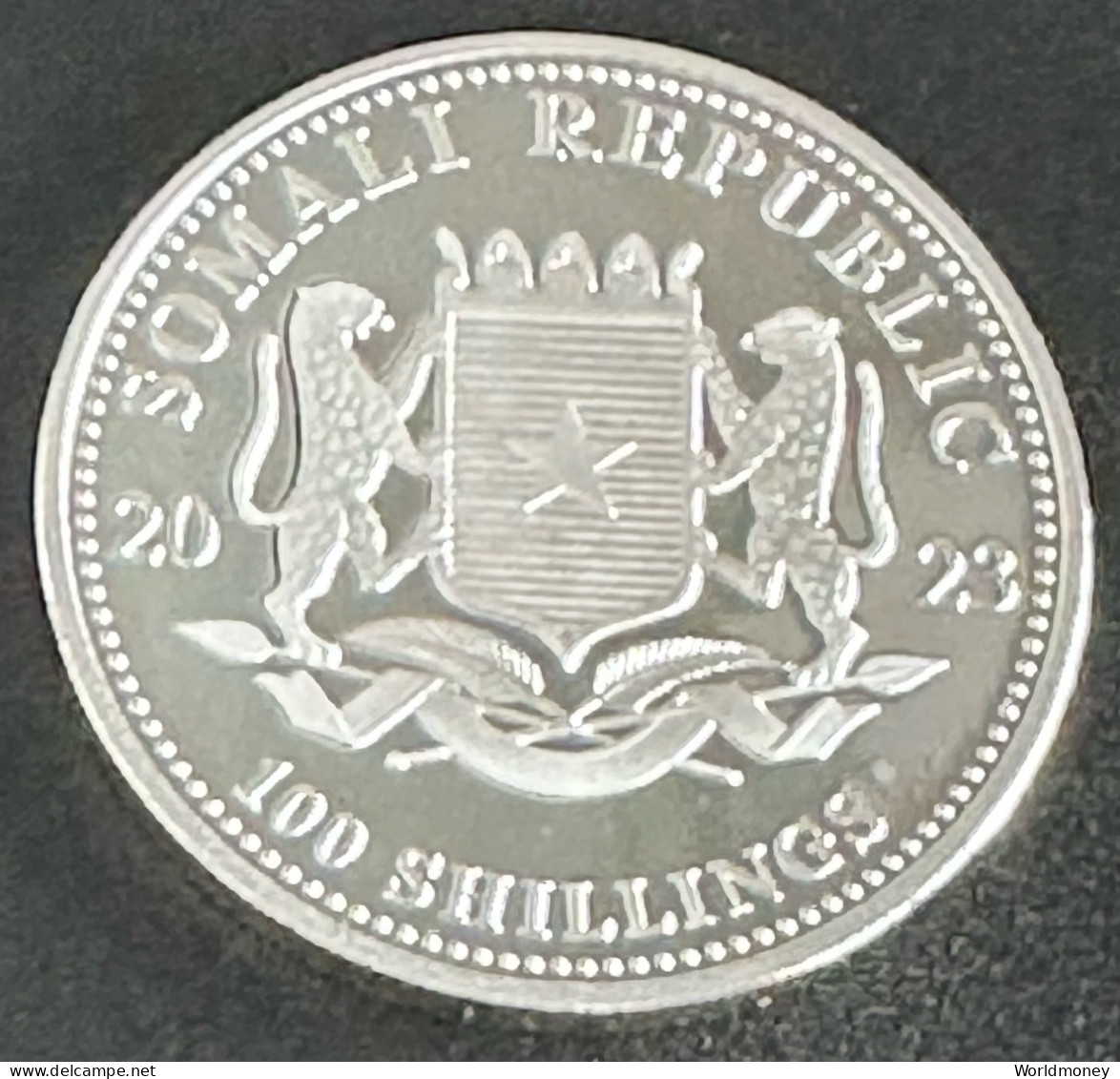 Somalia 100 Shillings 2023 (silver) Elephant - Somalia