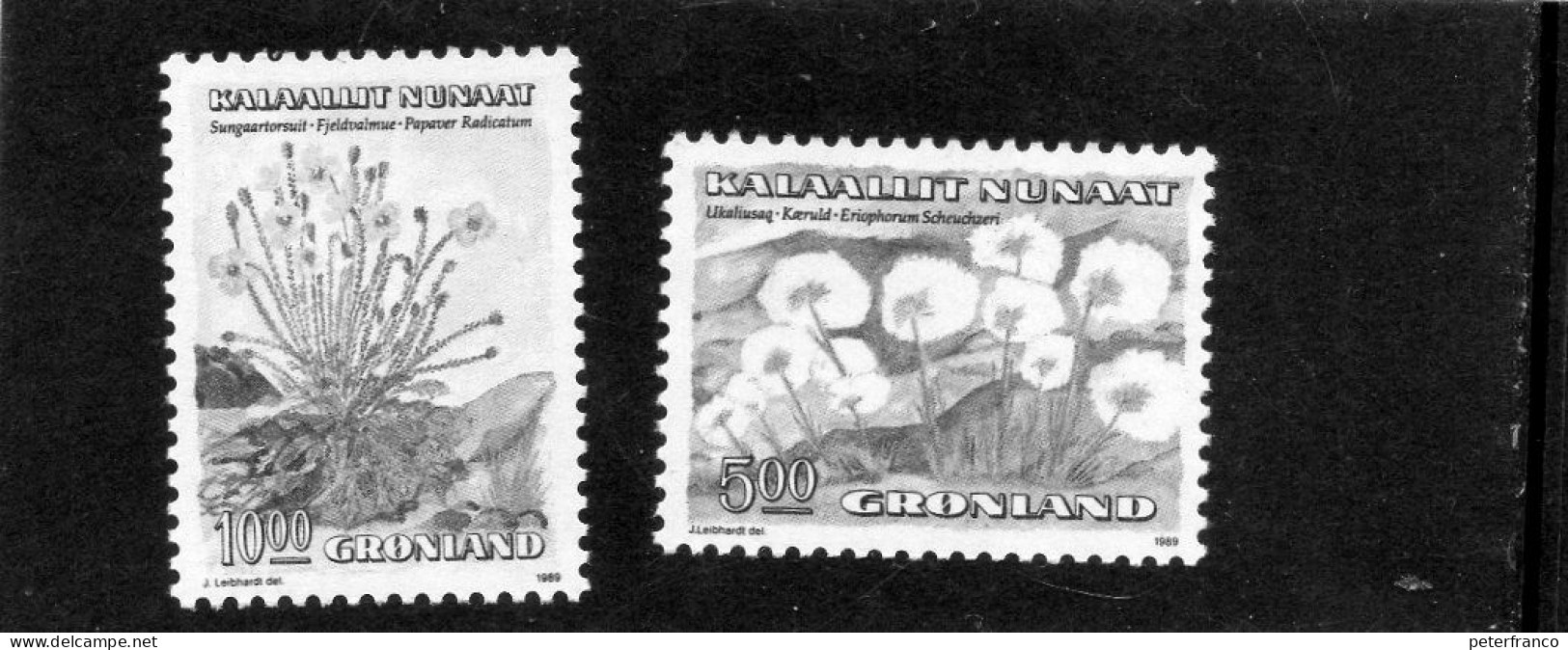 1989 Groenlandia -  Flora - Unused Stamps