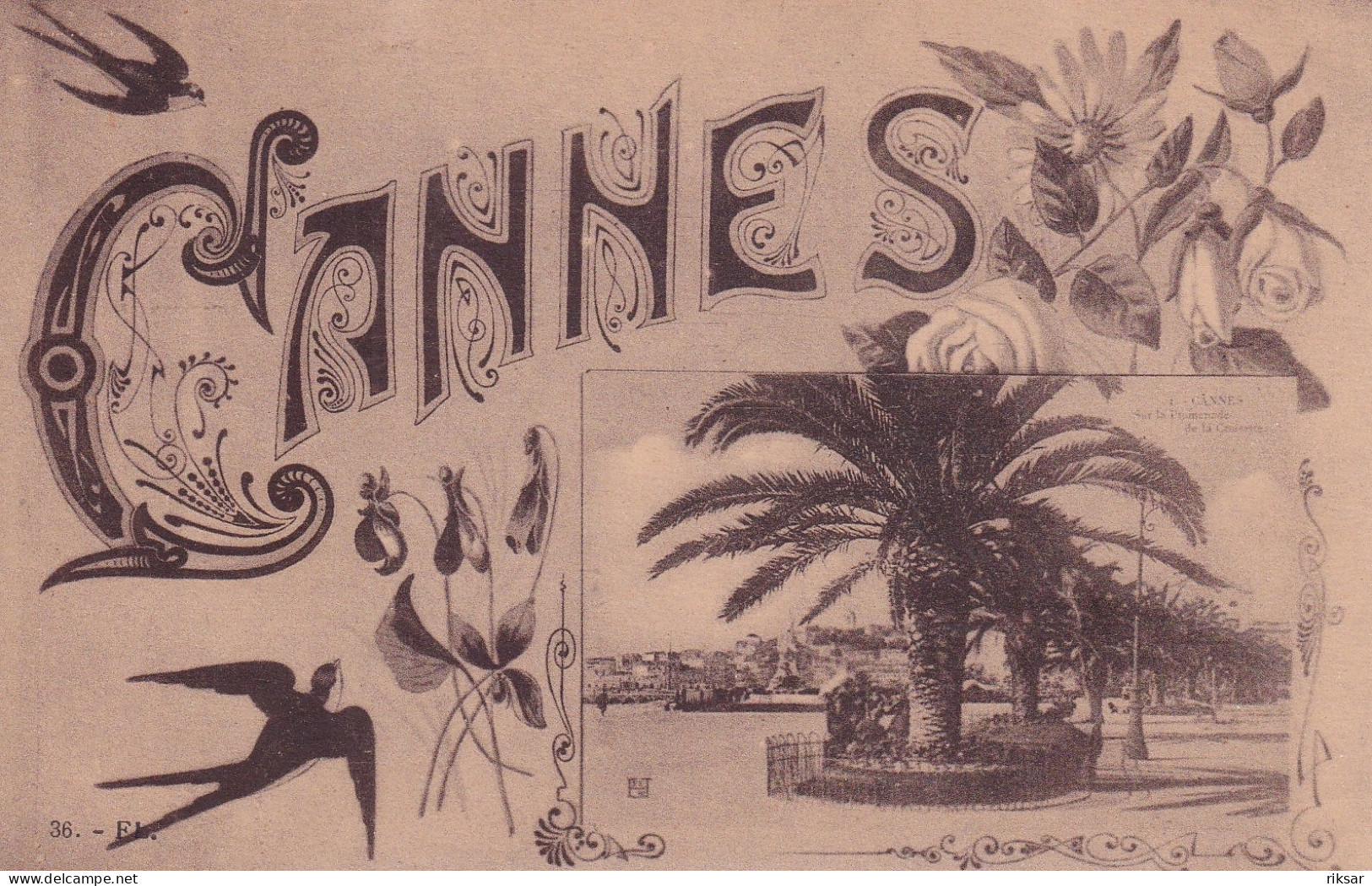 CANNES(ARBRE) - Cannes