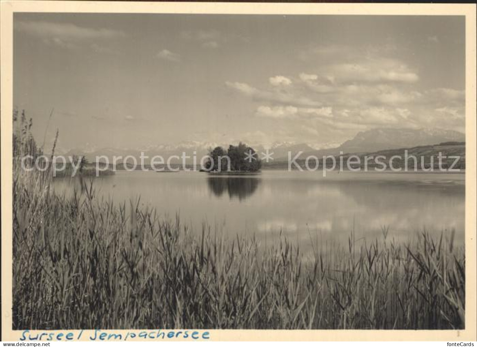 12337524 Sursee Sempachersee Sursee - Other & Unclassified