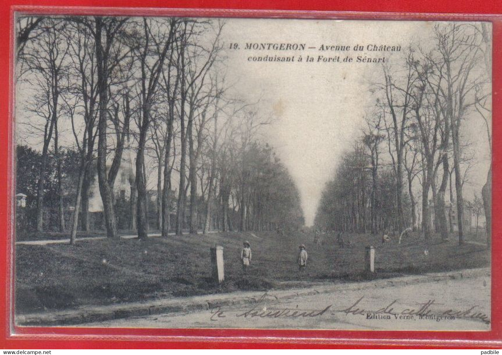 Carte Postale 91. Montgeron Avenue Du Chateau  La Forêt De Sénart  Très Beau Plan - Montgeron