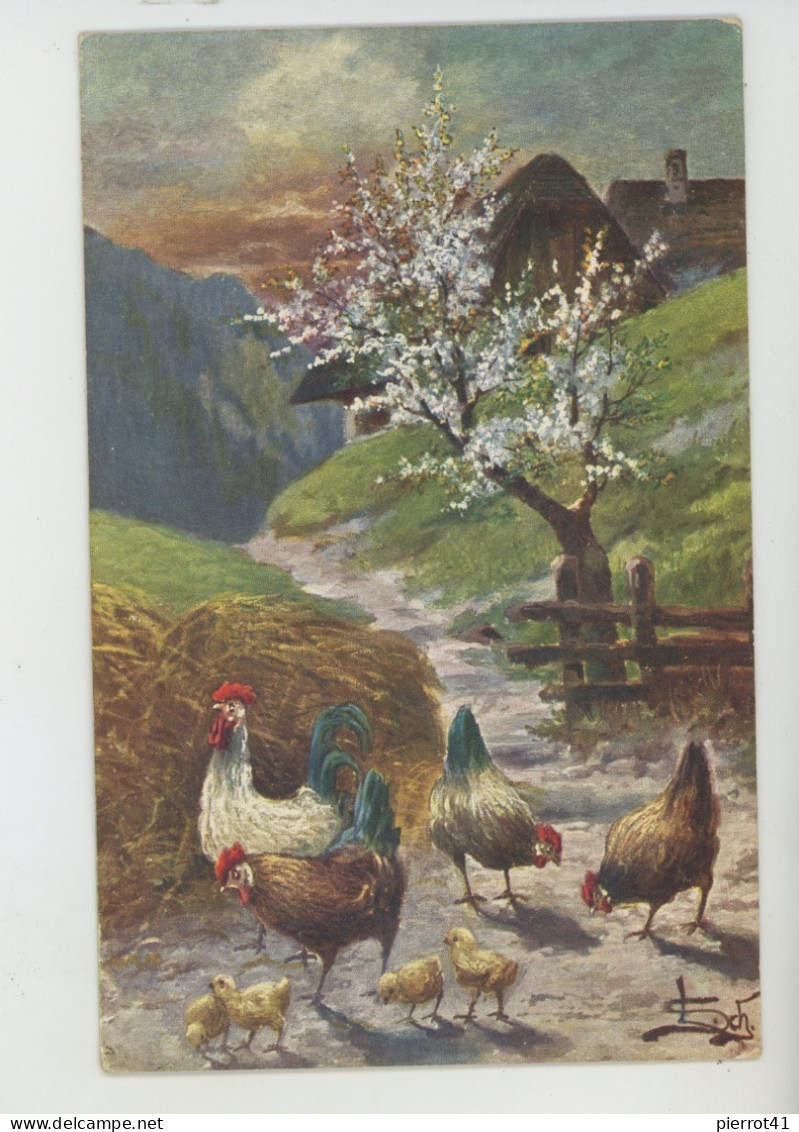 OISEAUX - Jolie Carte Fantaisie Coq Et Poules Avec Poussins Dans Basse Cour Au Printemps (signée) - H.H. I. W Série 892 - Birds