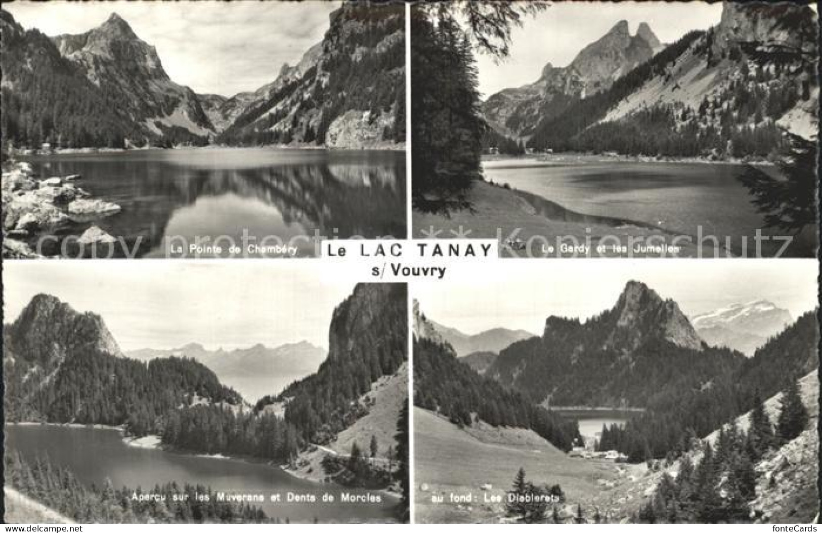 12336503 Chambairy Lac Tanay Vouvry Chambairy - Autres & Non Classés