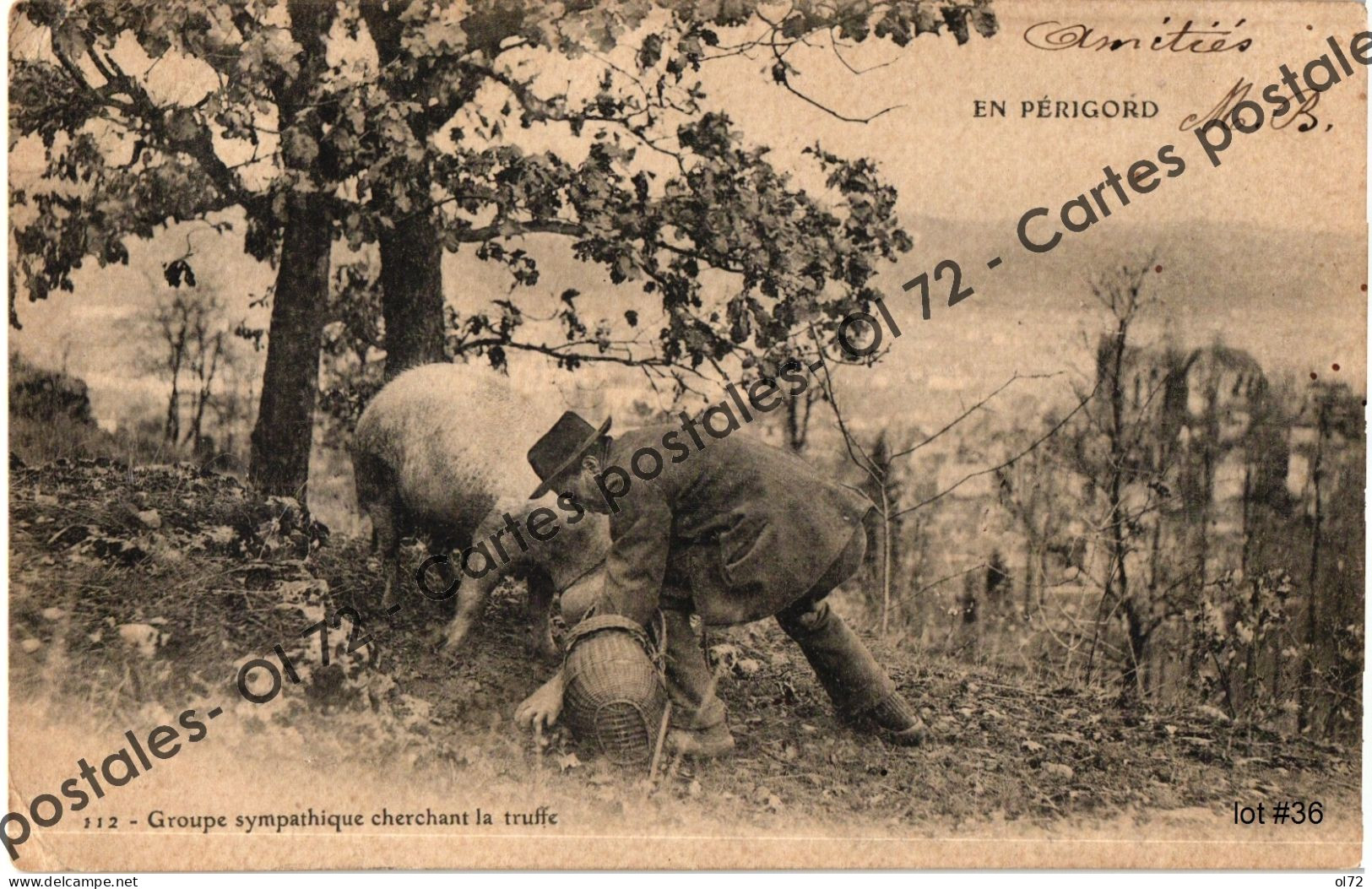 CPA [24] Dordogne > En Périgord - Groupe Sympathique Cherchant La Truffe (un Homme Et Un Cochon) - Précurseur - Other & Unclassified