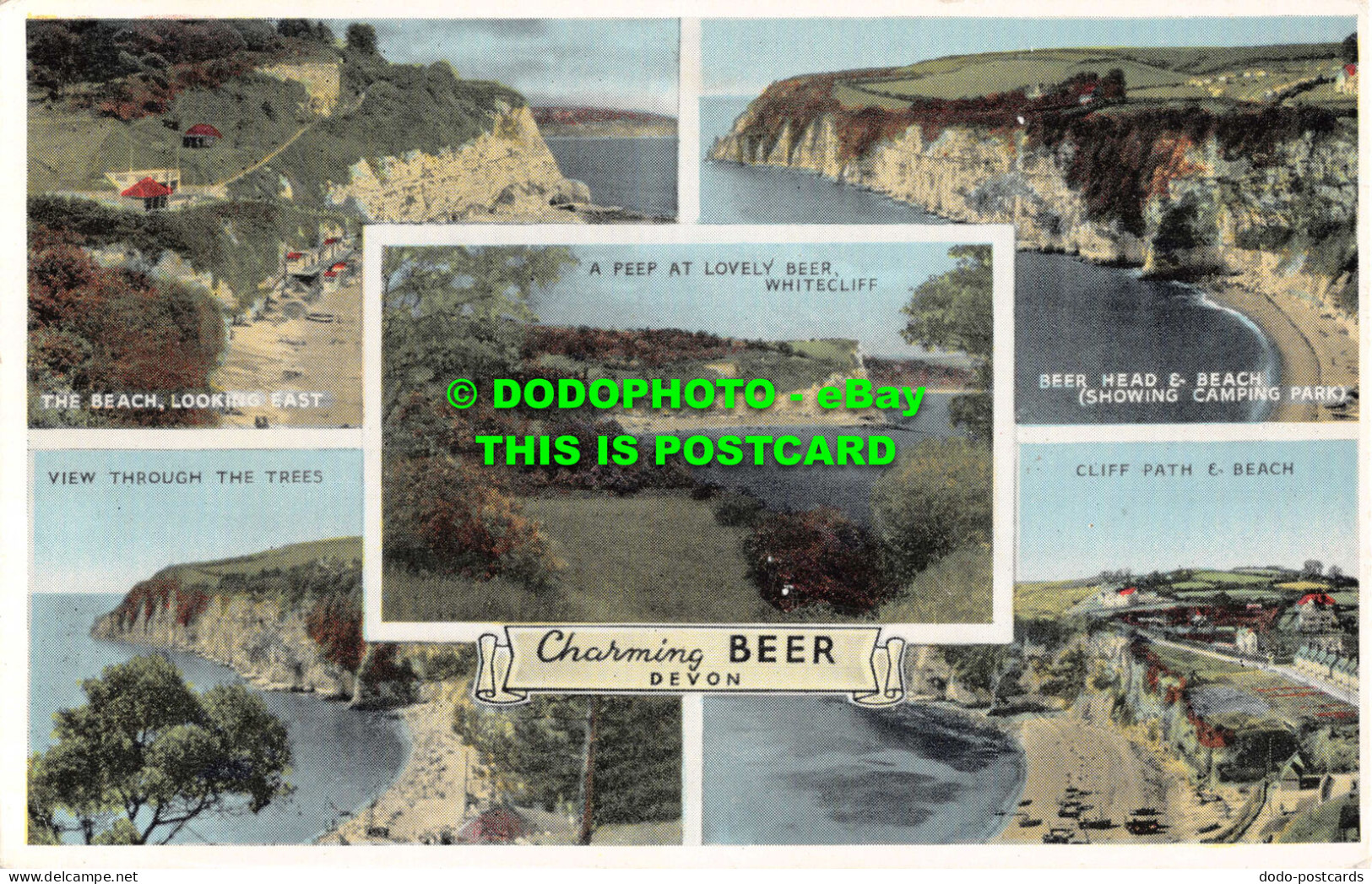 R550812 Charming Beer Devon. The Beach. Looking East. E. T. W. Dennis. Multi Vie - World