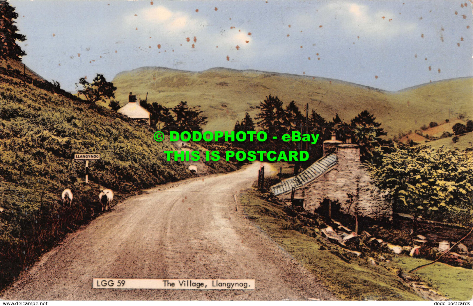 R550814 Llangynog. The Village. F. Frith - World