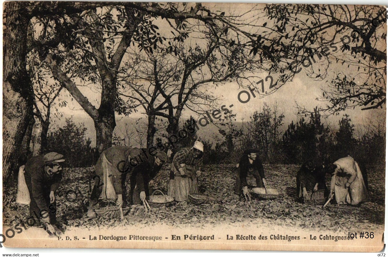 CPA [24] Dordogne > En Périgord - La Récolte Des Châtaignes - Lo Cohtognosou - Autres & Non Classés
