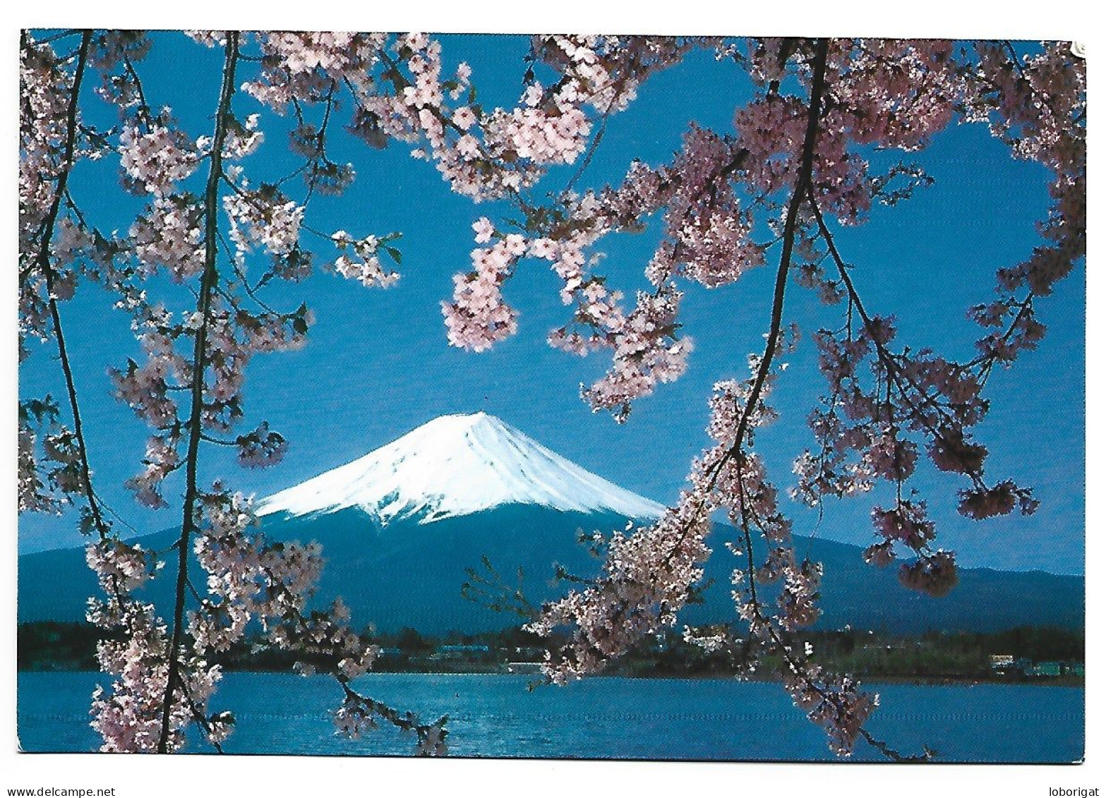 LAKE KAWAGUCHI, FUJI AND CHERRY BLOSSOMS.-  ( JAPON ) - Tokyo