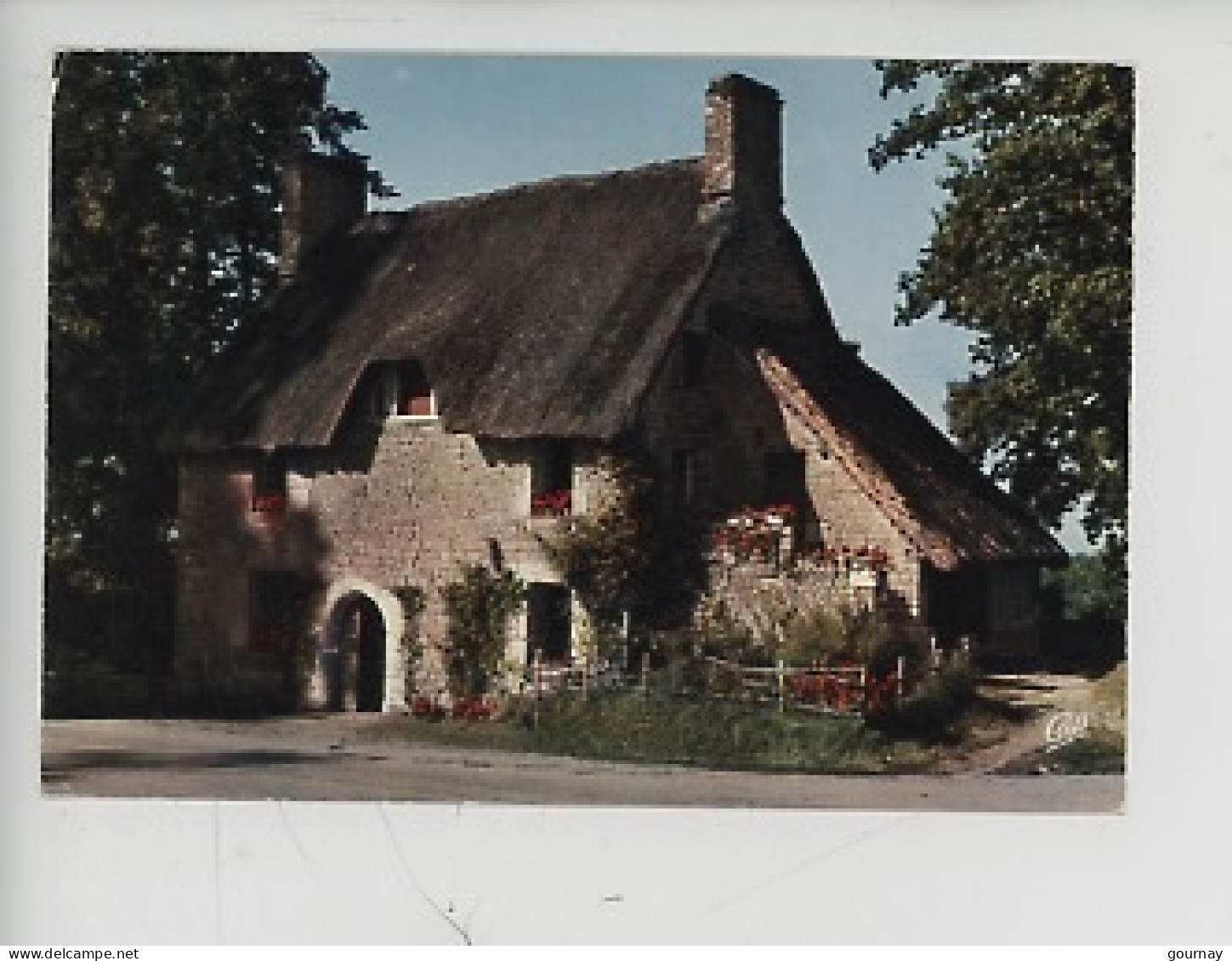 Luxuriante Normandie : Maison Normande Au Toit De Chaume (n°1544 Cap) - Basse-Normandie