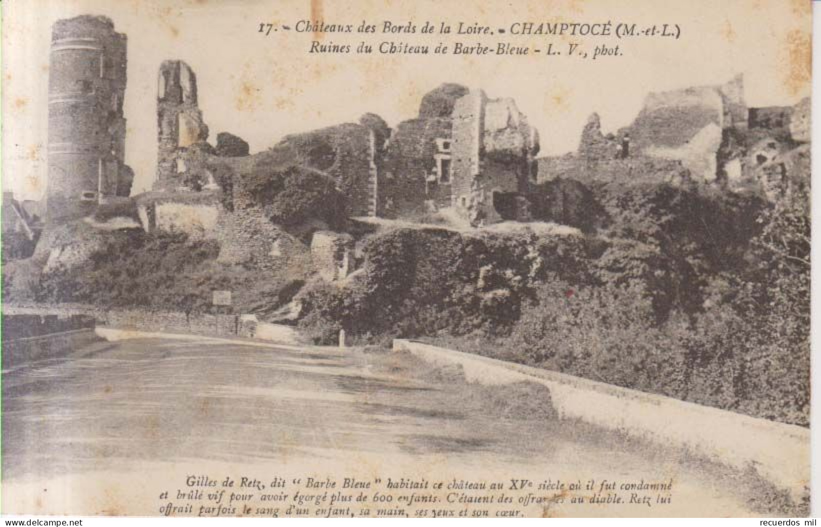 Champtoce Ruines Du Chateau De Barbe Bleu  1911 - Champtoceaux